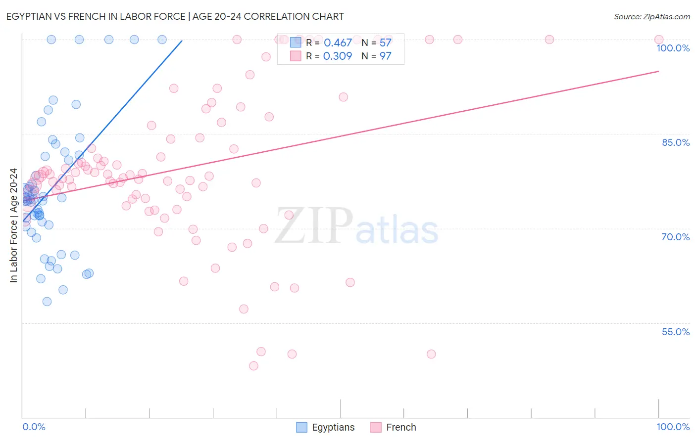Egyptian vs French In Labor Force | Age 20-24