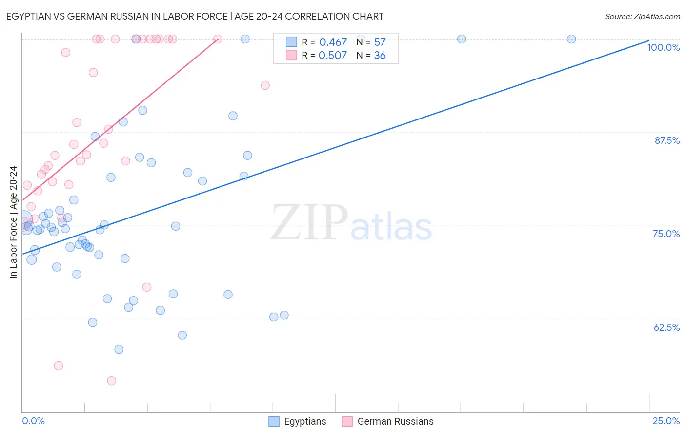 Egyptian vs German Russian In Labor Force | Age 20-24