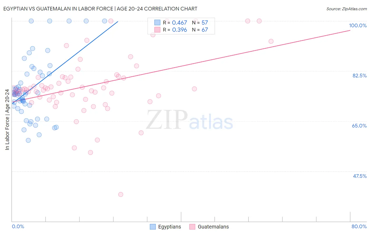 Egyptian vs Guatemalan In Labor Force | Age 20-24