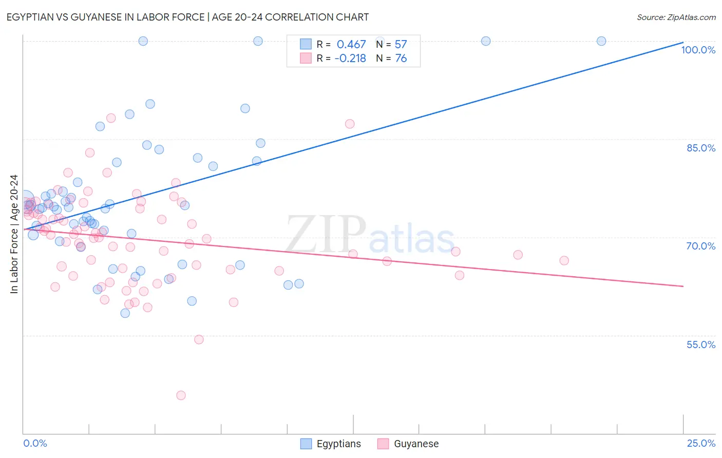 Egyptian vs Guyanese In Labor Force | Age 20-24