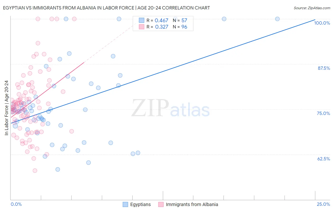 Egyptian vs Immigrants from Albania In Labor Force | Age 20-24