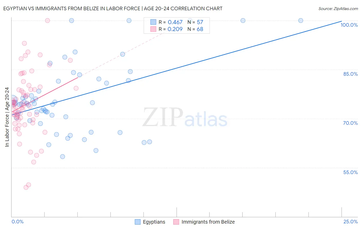 Egyptian vs Immigrants from Belize In Labor Force | Age 20-24