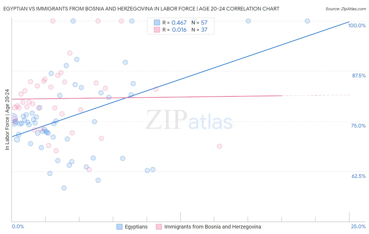 Egyptian vs Immigrants from Bosnia and Herzegovina In Labor Force | Age 20-24