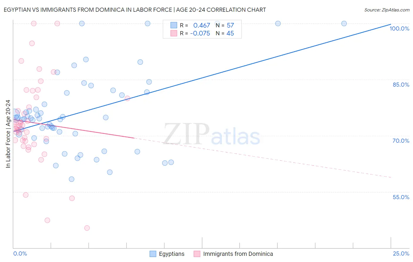 Egyptian vs Immigrants from Dominica In Labor Force | Age 20-24