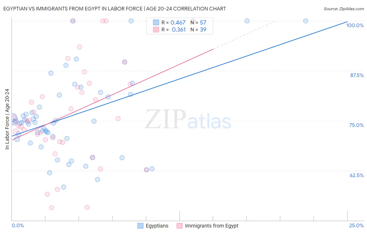 Egyptian vs Immigrants from Egypt In Labor Force | Age 20-24