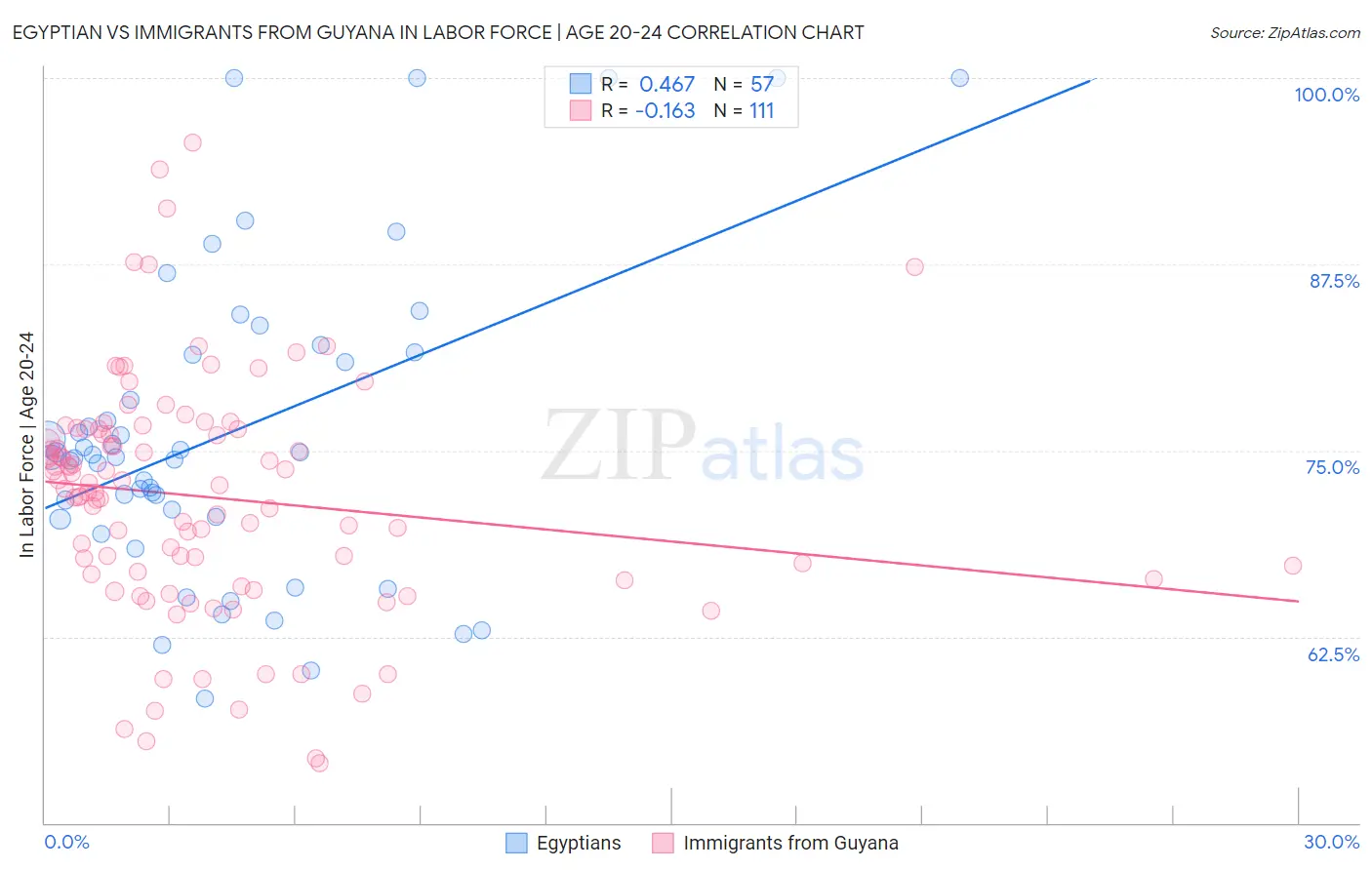 Egyptian vs Immigrants from Guyana In Labor Force | Age 20-24