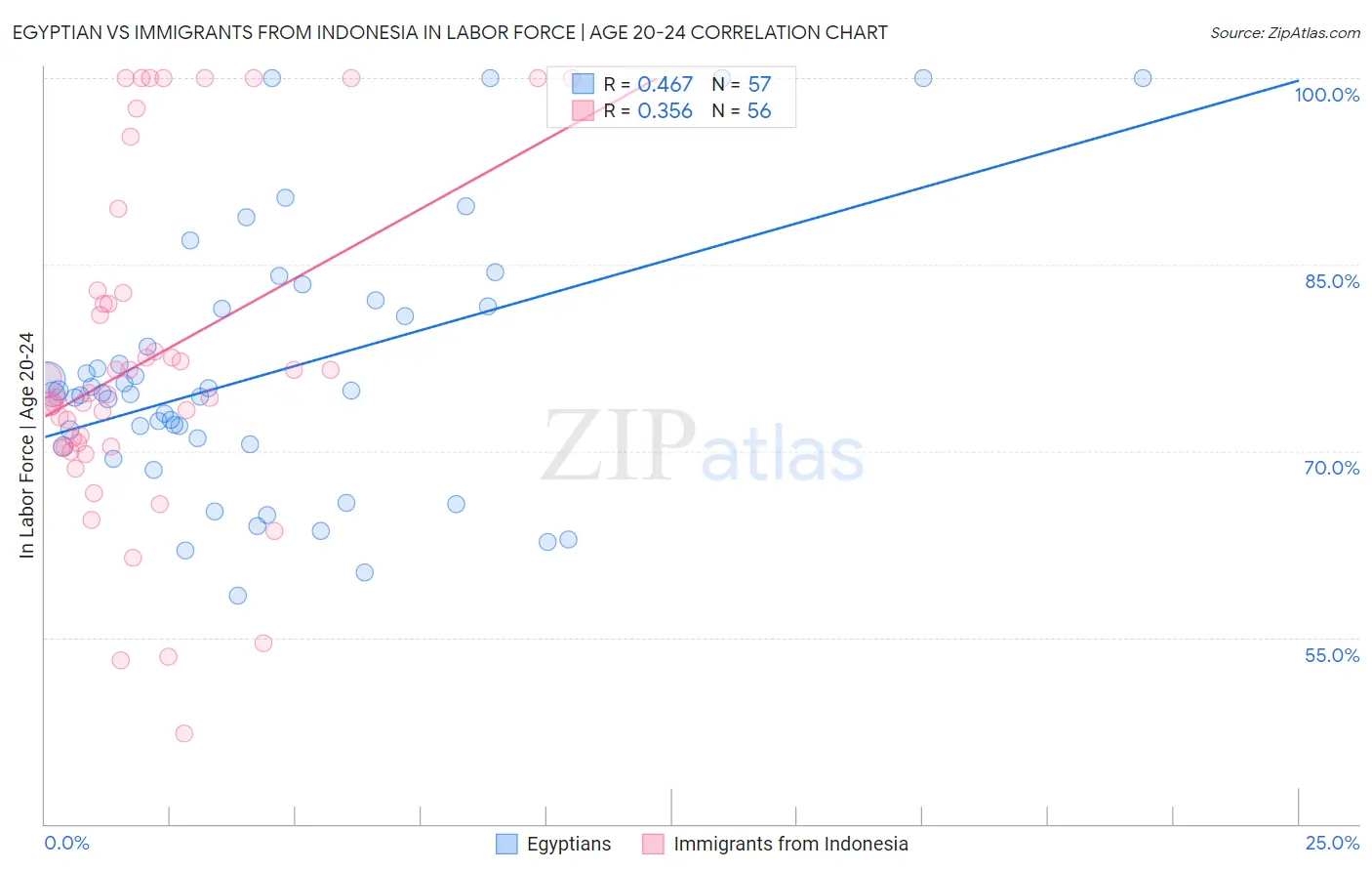 Egyptian vs Immigrants from Indonesia In Labor Force | Age 20-24