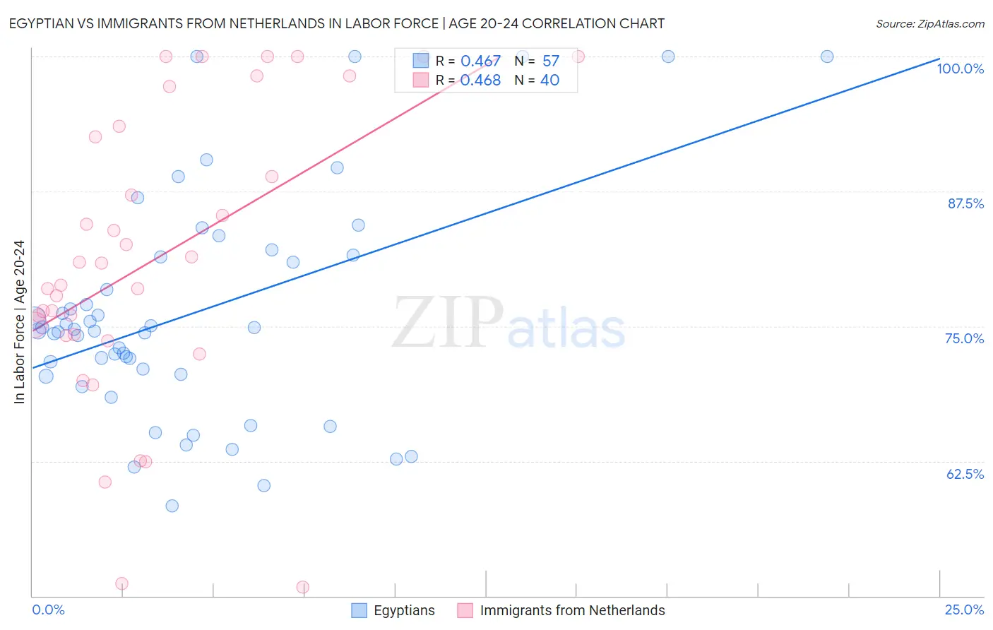 Egyptian vs Immigrants from Netherlands In Labor Force | Age 20-24
