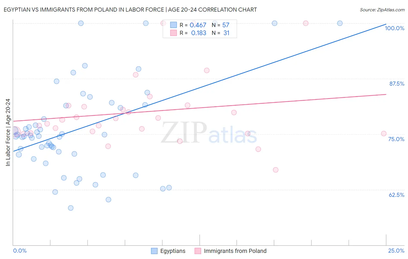 Egyptian vs Immigrants from Poland In Labor Force | Age 20-24