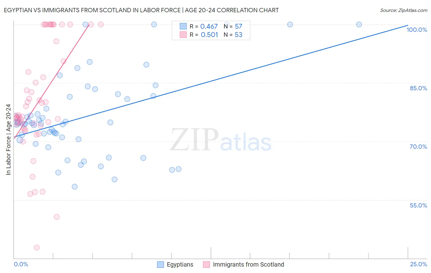 Egyptian vs Immigrants from Scotland In Labor Force | Age 20-24