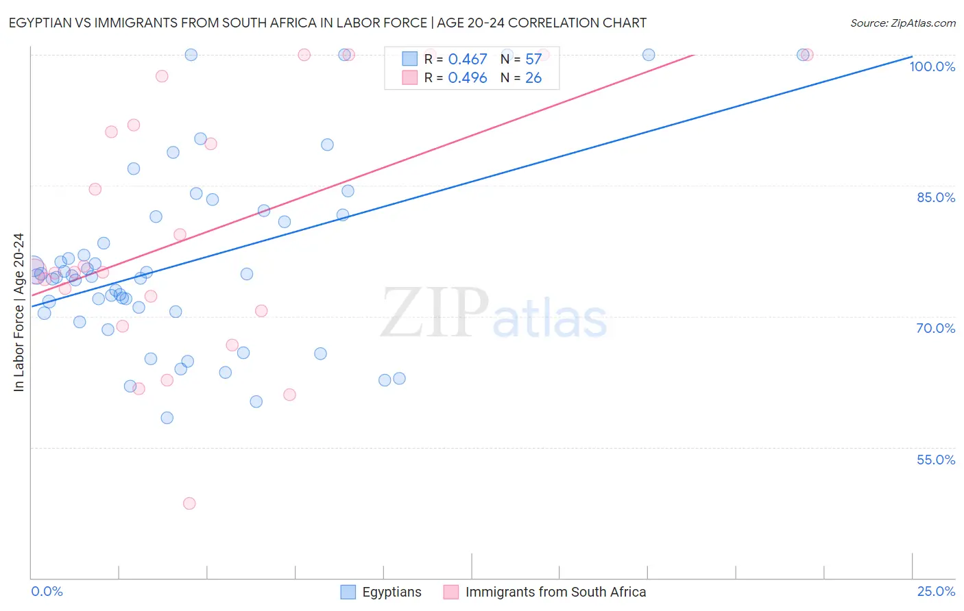 Egyptian vs Immigrants from South Africa In Labor Force | Age 20-24