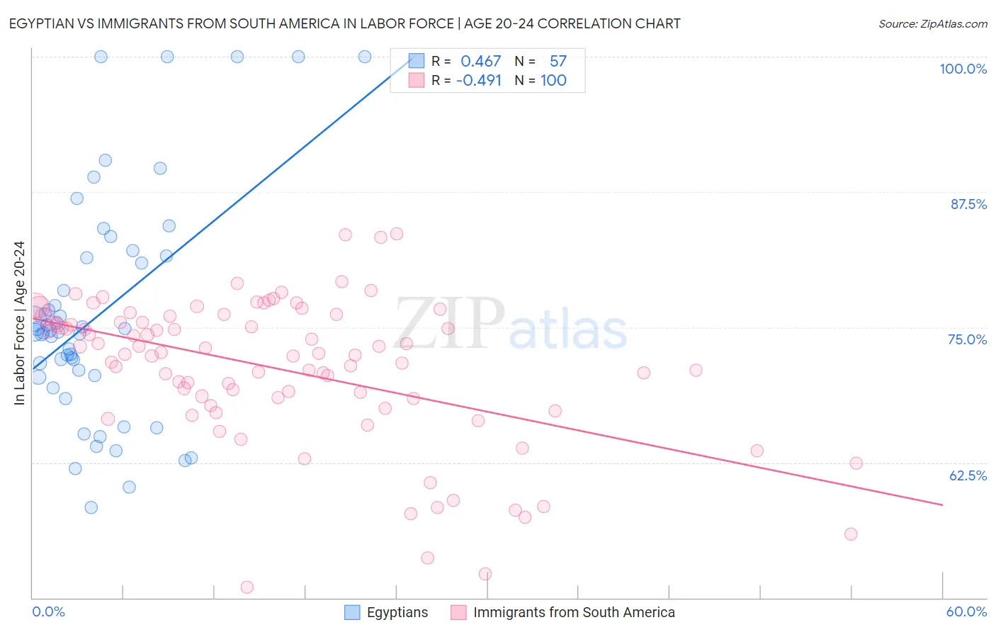Egyptian vs Immigrants from South America In Labor Force | Age 20-24