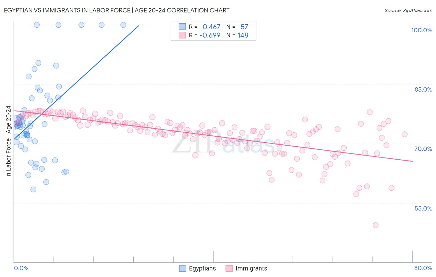 Egyptian vs Immigrants In Labor Force | Age 20-24