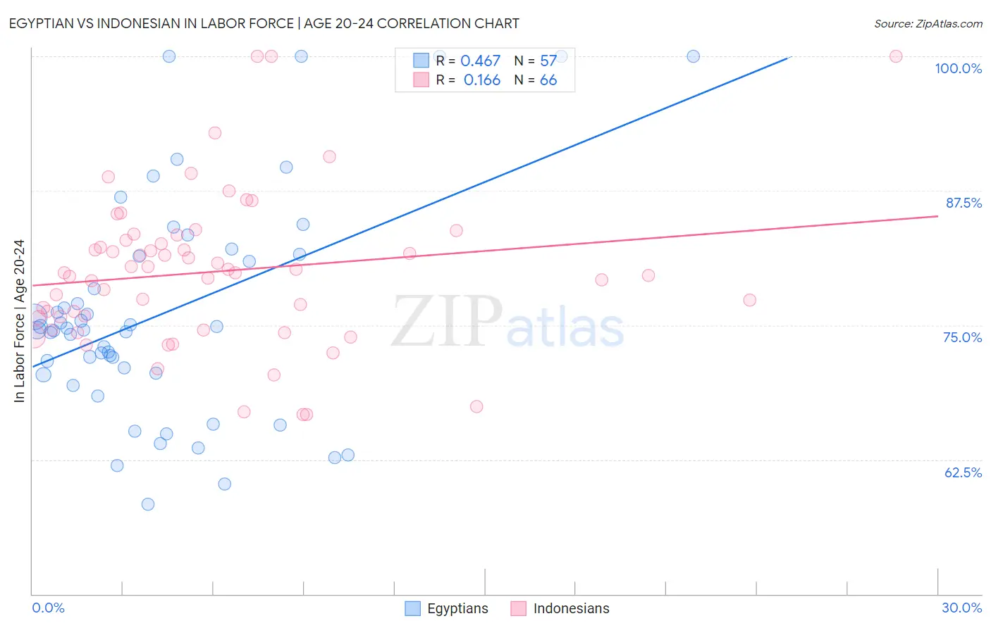 Egyptian vs Indonesian In Labor Force | Age 20-24