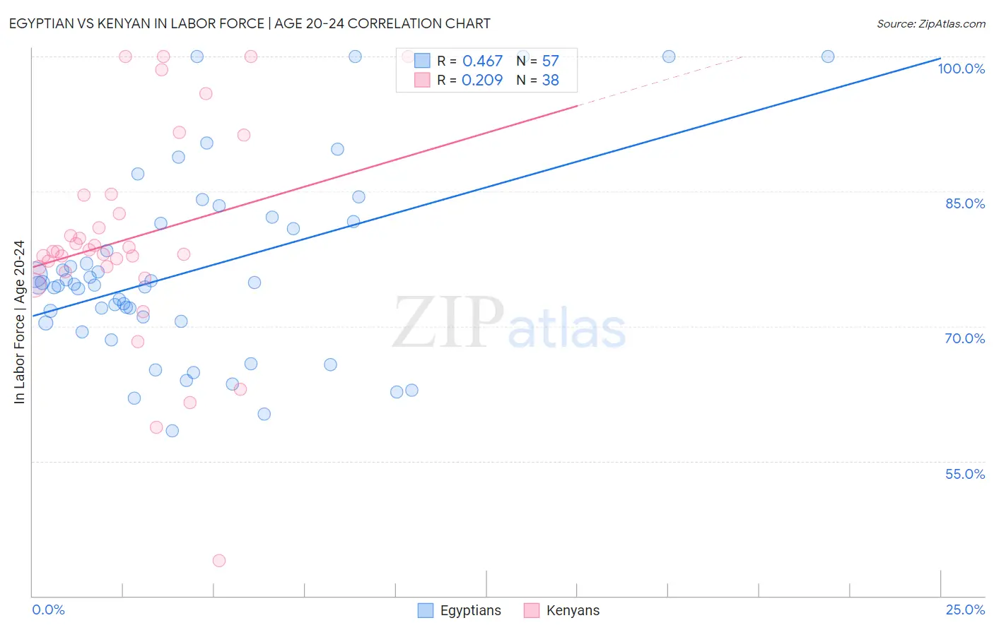 Egyptian vs Kenyan In Labor Force | Age 20-24