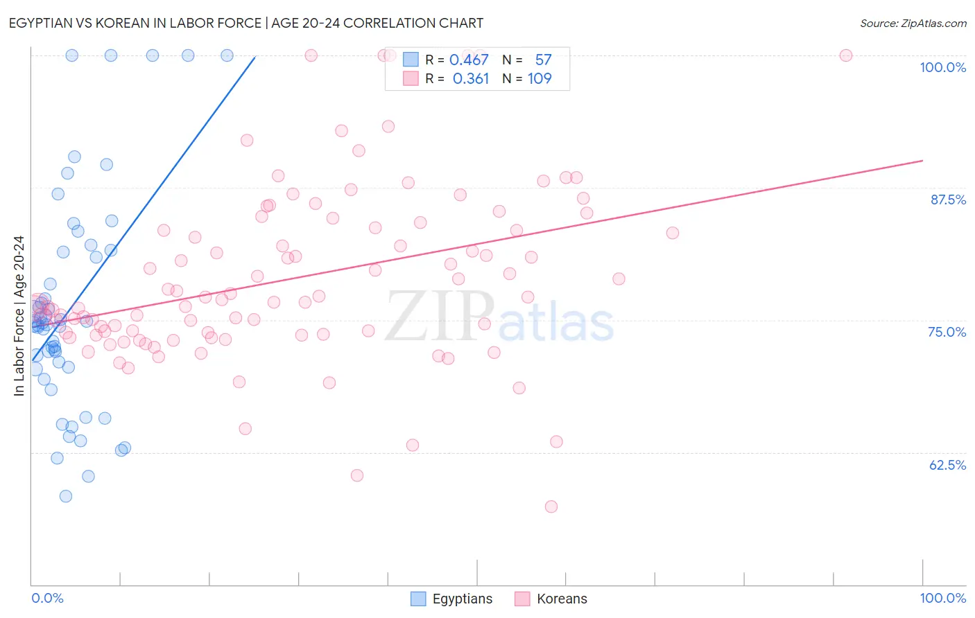Egyptian vs Korean In Labor Force | Age 20-24