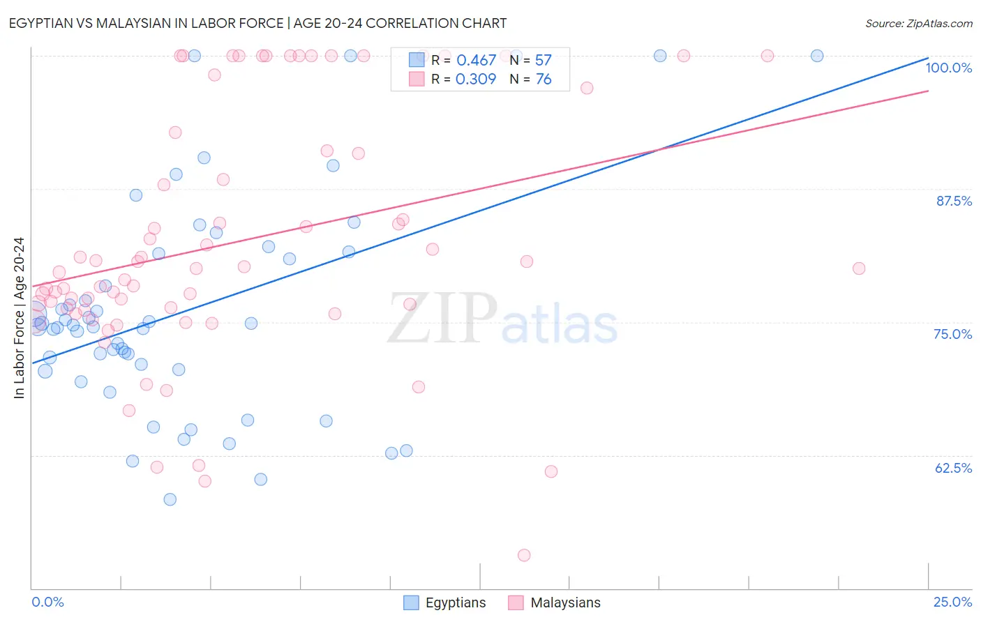 Egyptian vs Malaysian In Labor Force | Age 20-24