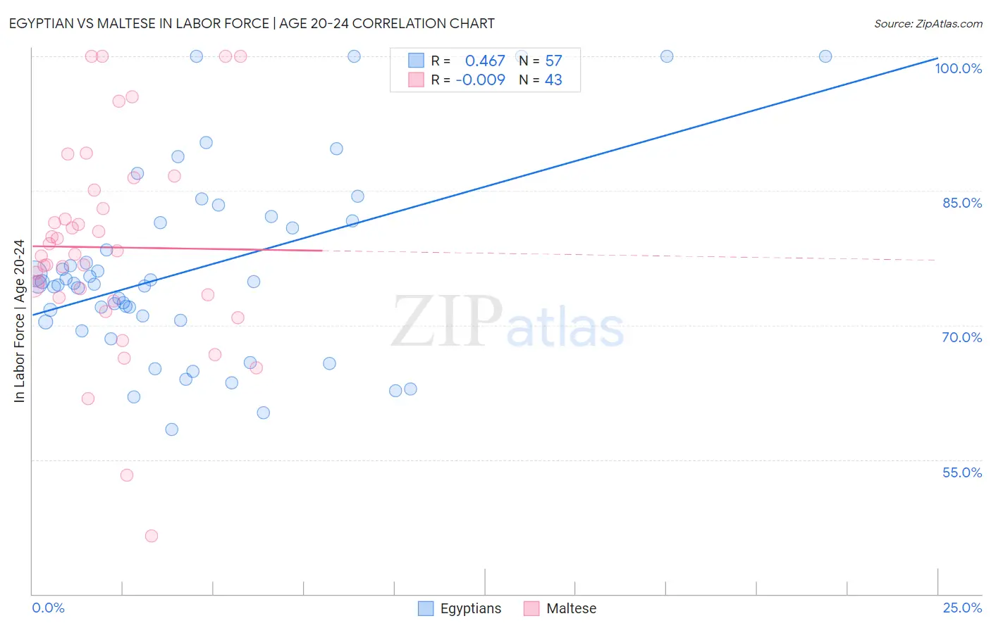 Egyptian vs Maltese In Labor Force | Age 20-24