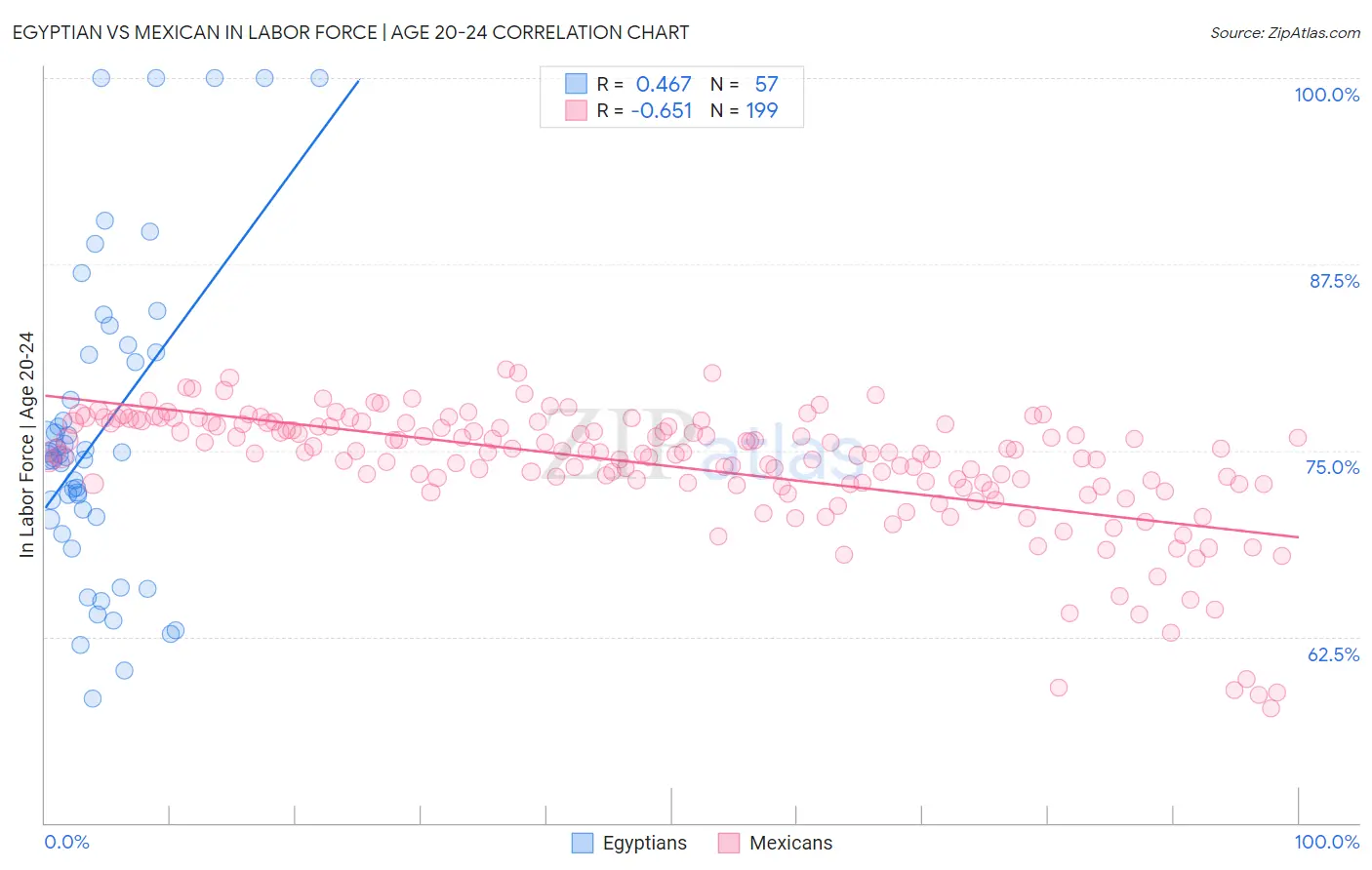 Egyptian vs Mexican In Labor Force | Age 20-24