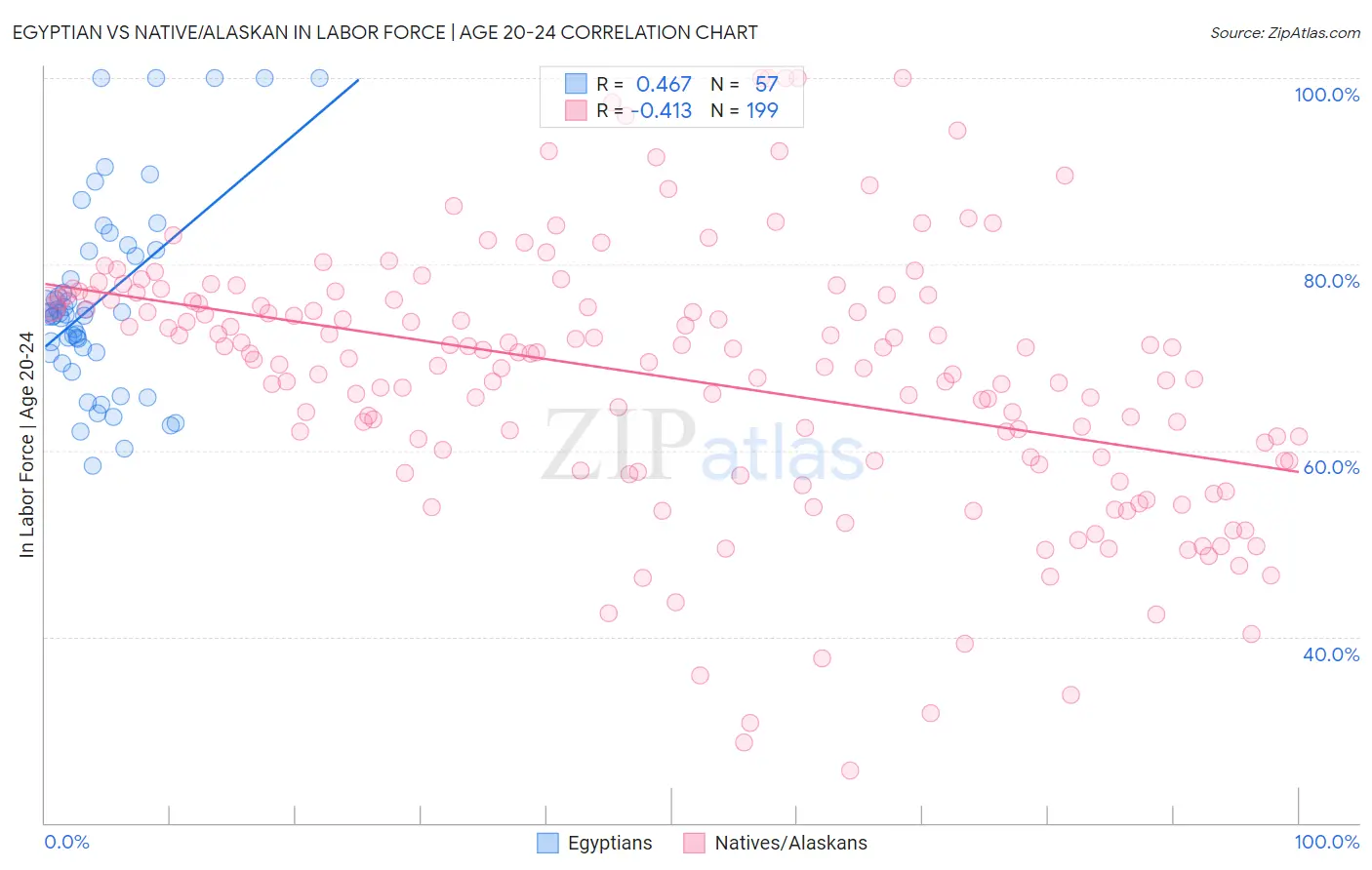 Egyptian vs Native/Alaskan In Labor Force | Age 20-24