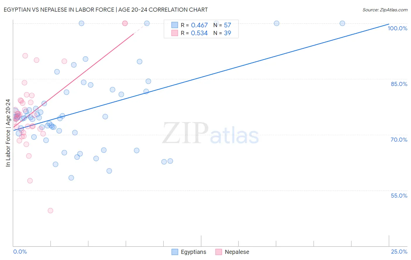 Egyptian vs Nepalese In Labor Force | Age 20-24