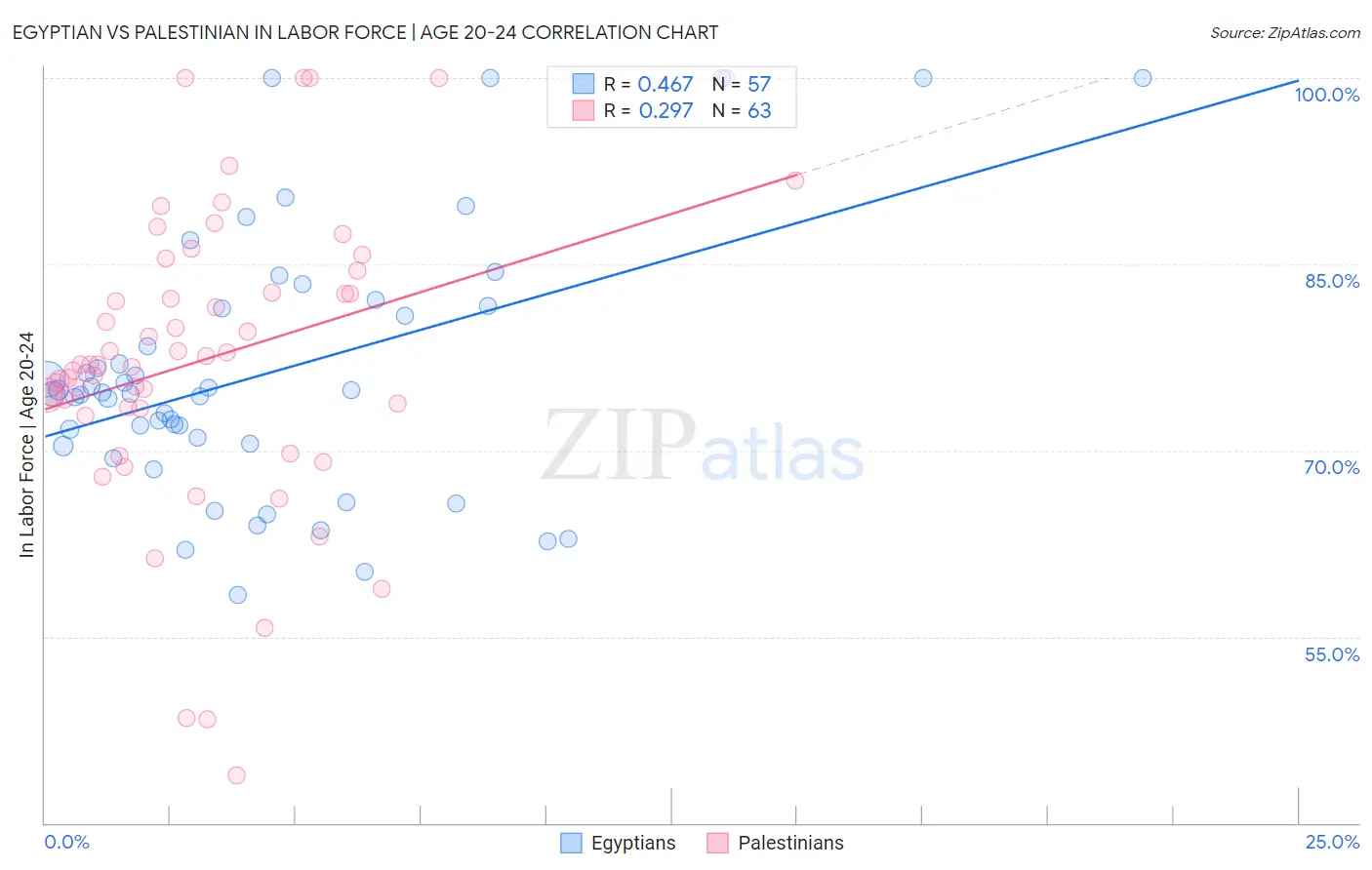 Egyptian vs Palestinian In Labor Force | Age 20-24