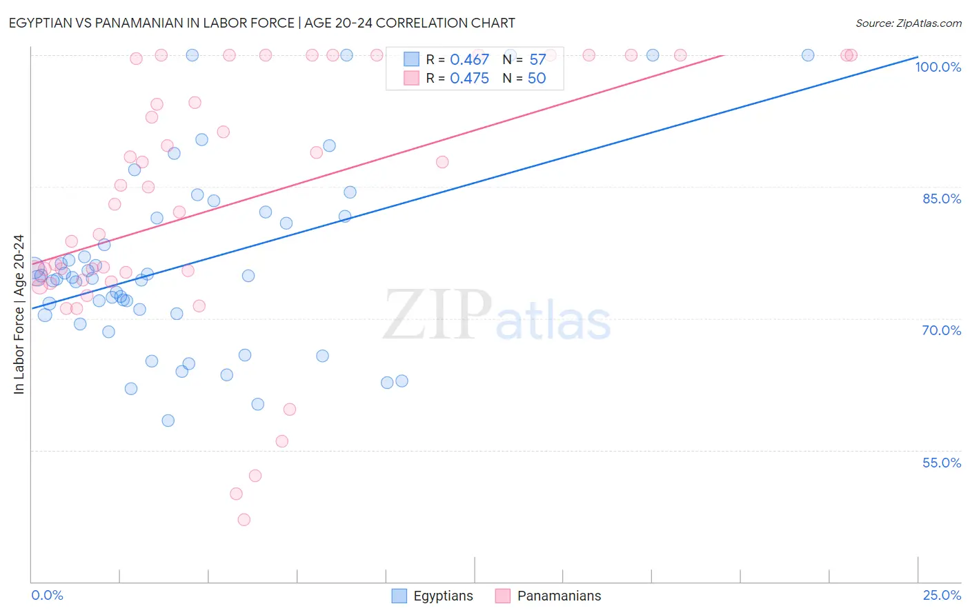 Egyptian vs Panamanian In Labor Force | Age 20-24