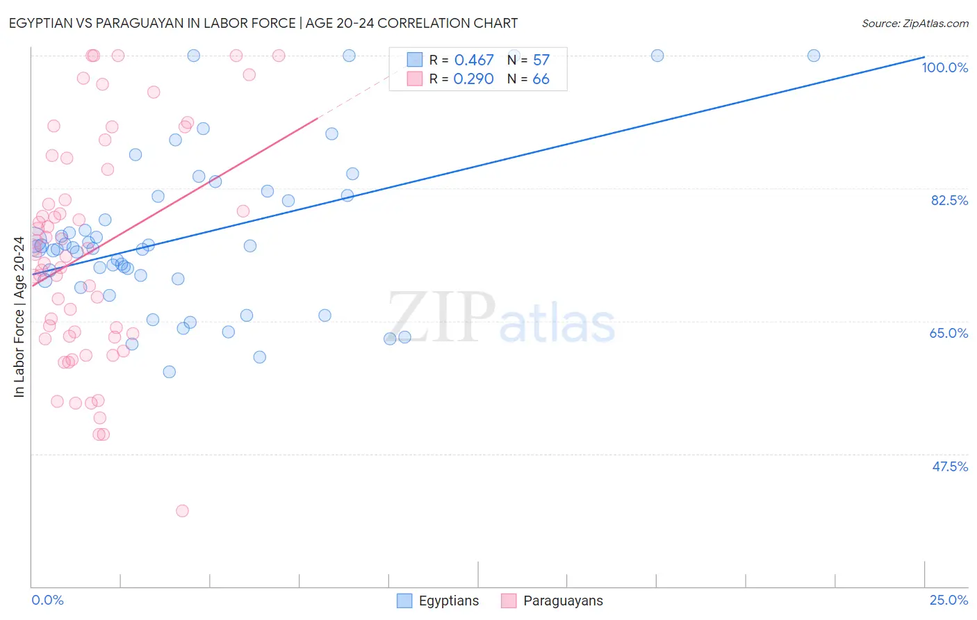 Egyptian vs Paraguayan In Labor Force | Age 20-24