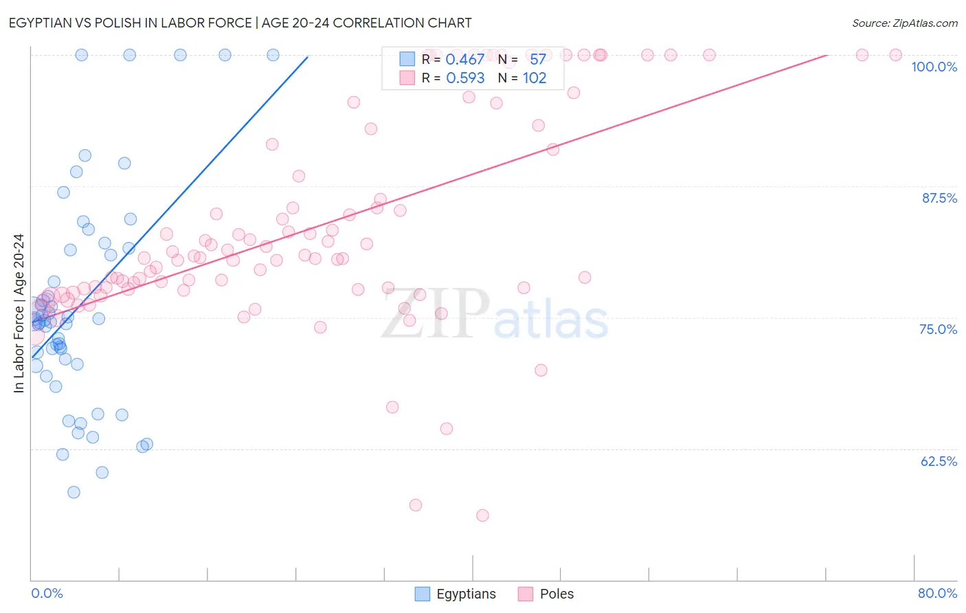Egyptian vs Polish In Labor Force | Age 20-24