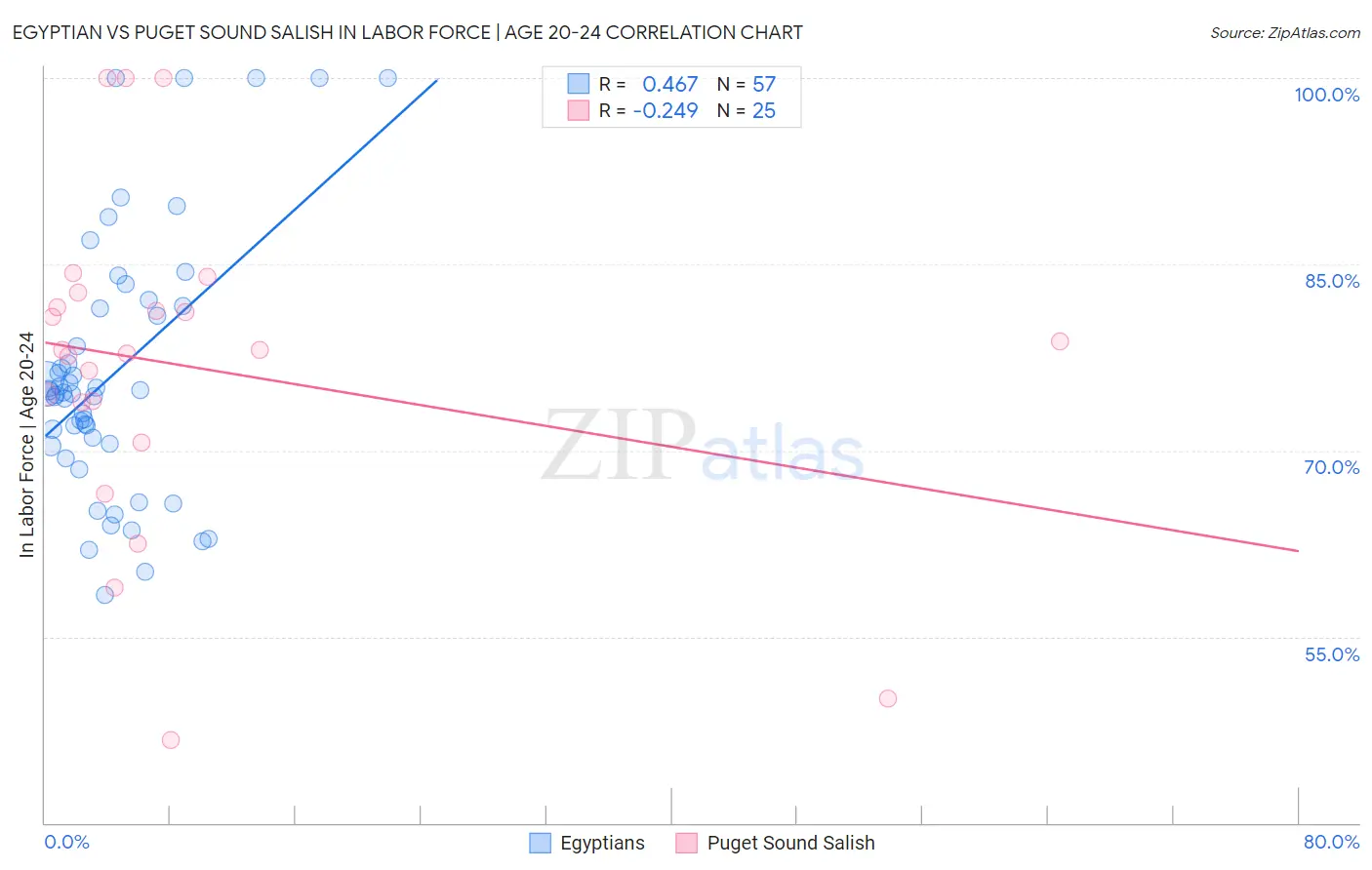 Egyptian vs Puget Sound Salish In Labor Force | Age 20-24