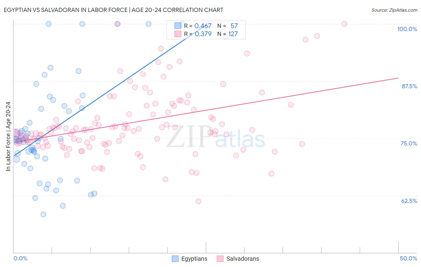 Egyptian vs Salvadoran In Labor Force | Age 20-24