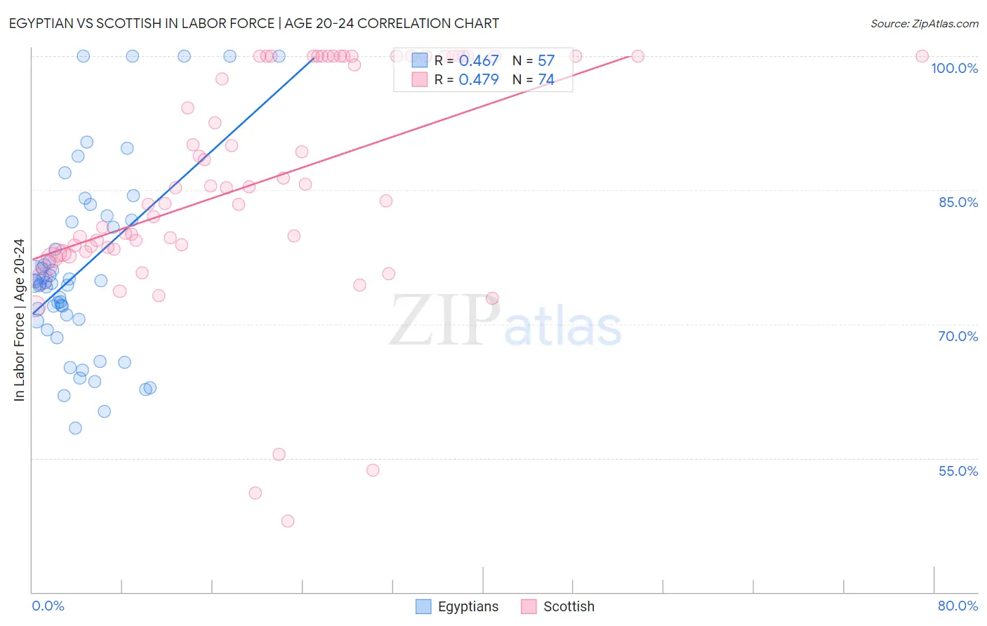 Egyptian vs Scottish In Labor Force | Age 20-24