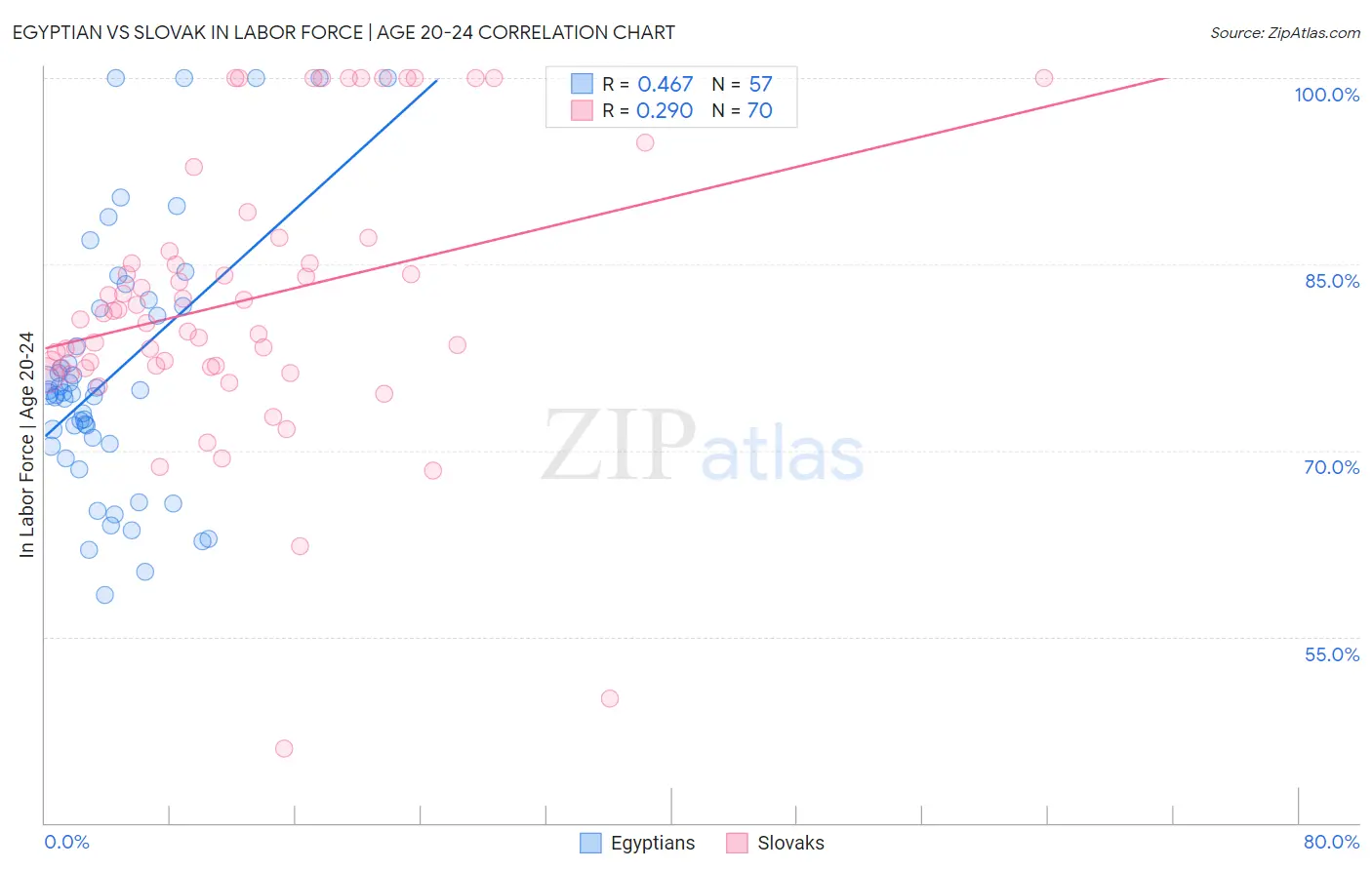 Egyptian vs Slovak In Labor Force | Age 20-24