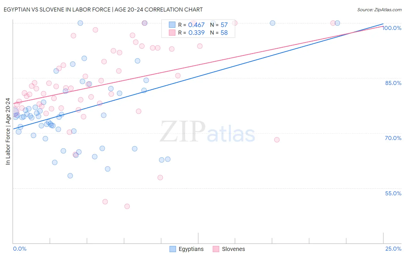 Egyptian vs Slovene In Labor Force | Age 20-24