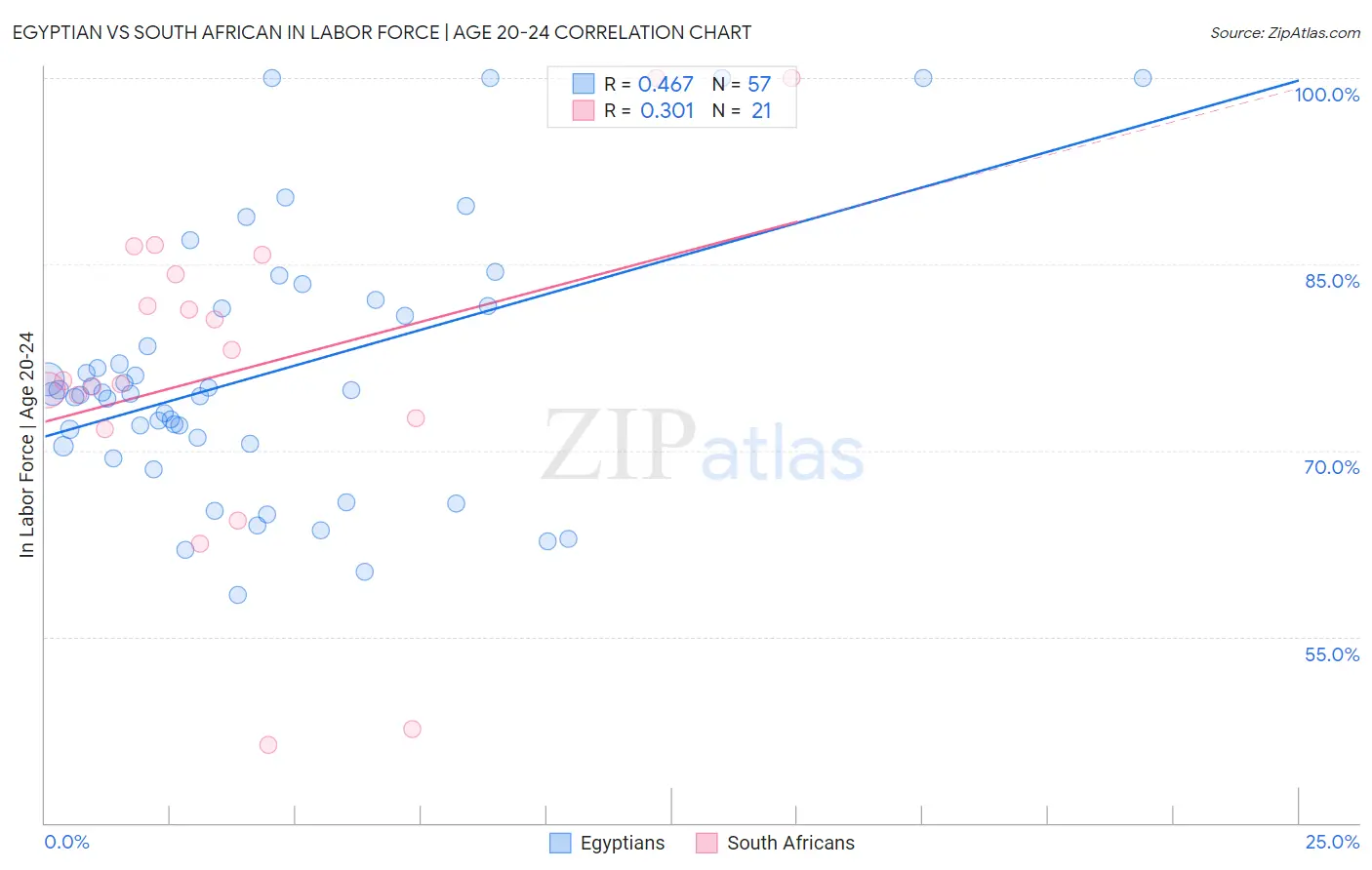 Egyptian vs South African In Labor Force | Age 20-24