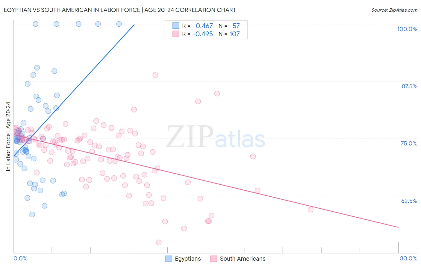 Egyptian vs South American In Labor Force | Age 20-24