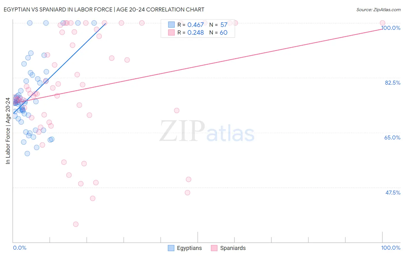 Egyptian vs Spaniard In Labor Force | Age 20-24
