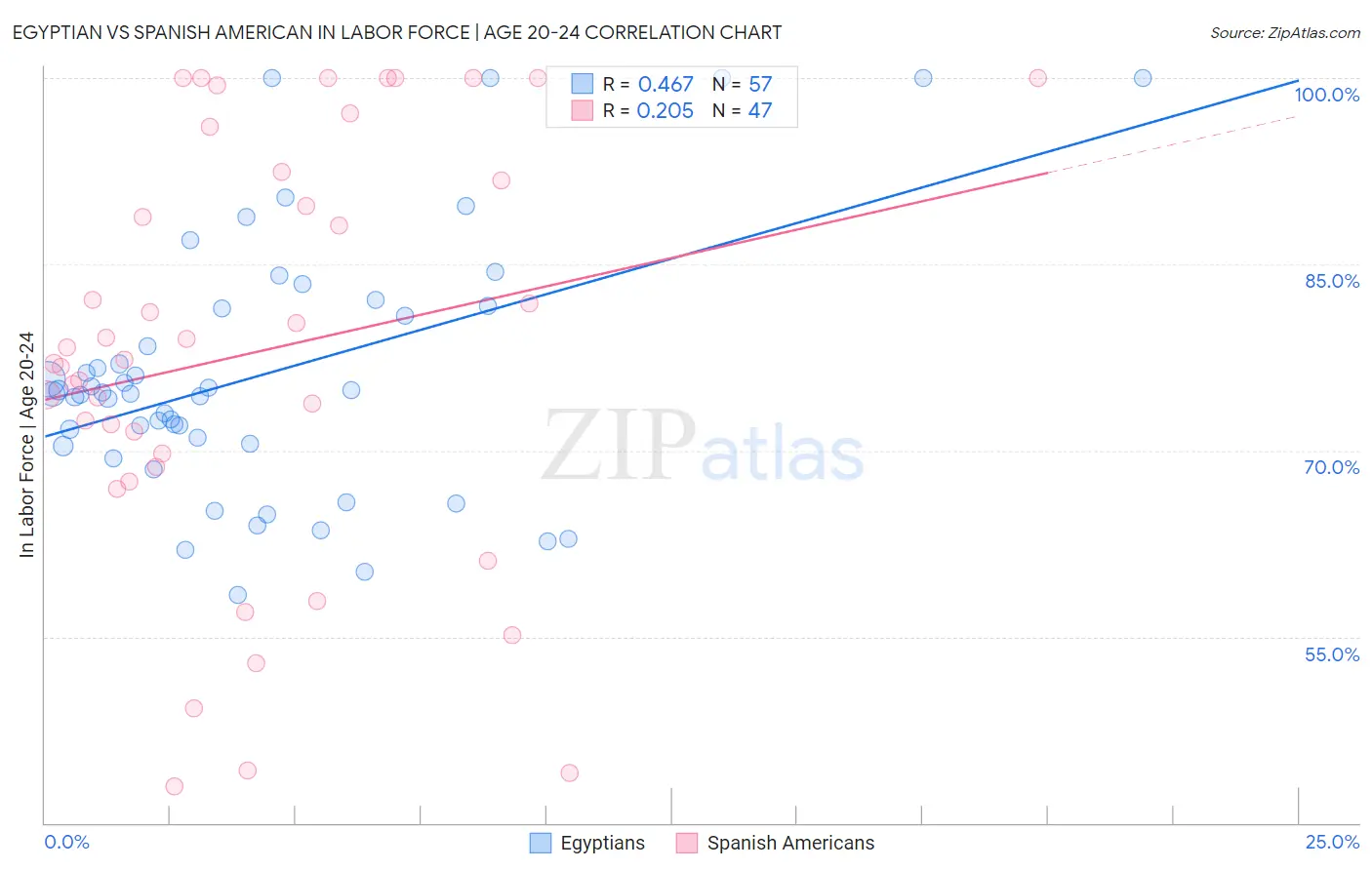Egyptian vs Spanish American In Labor Force | Age 20-24