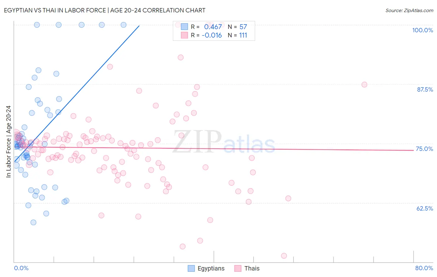 Egyptian vs Thai In Labor Force | Age 20-24