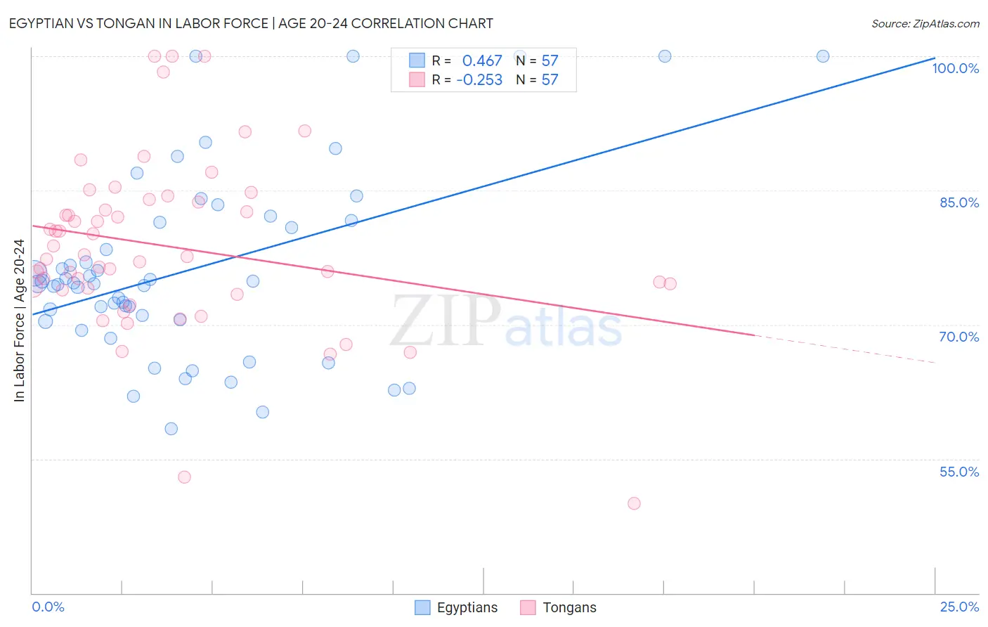 Egyptian vs Tongan In Labor Force | Age 20-24