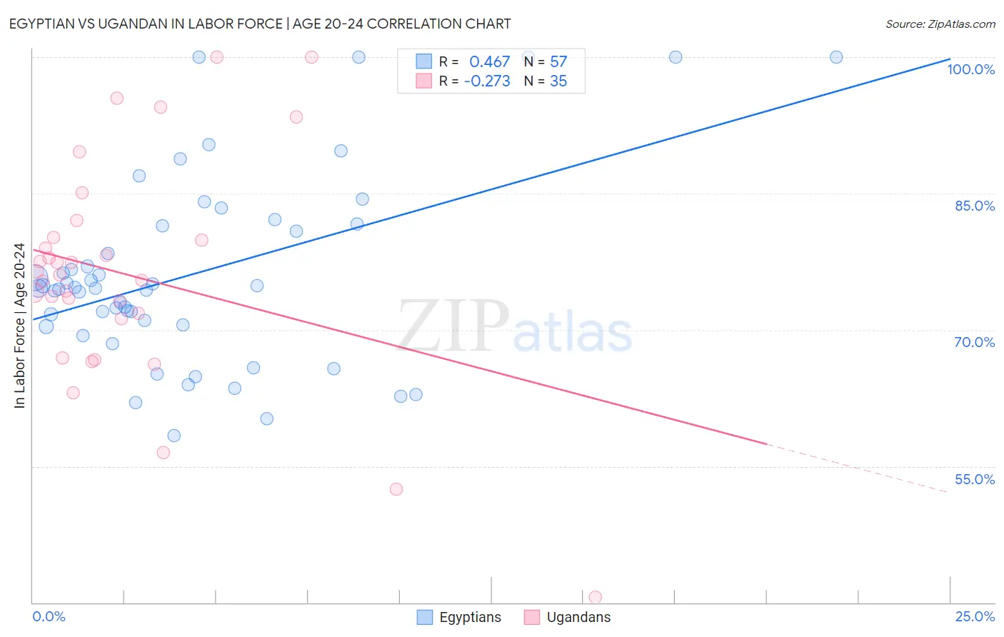 Egyptian vs Ugandan In Labor Force | Age 20-24