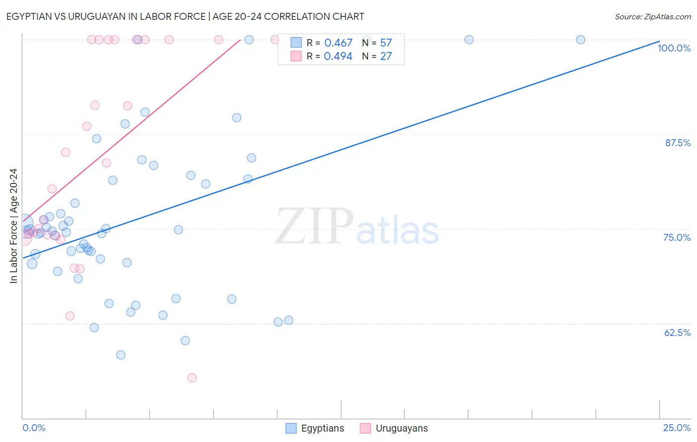 Egyptian vs Uruguayan In Labor Force | Age 20-24
