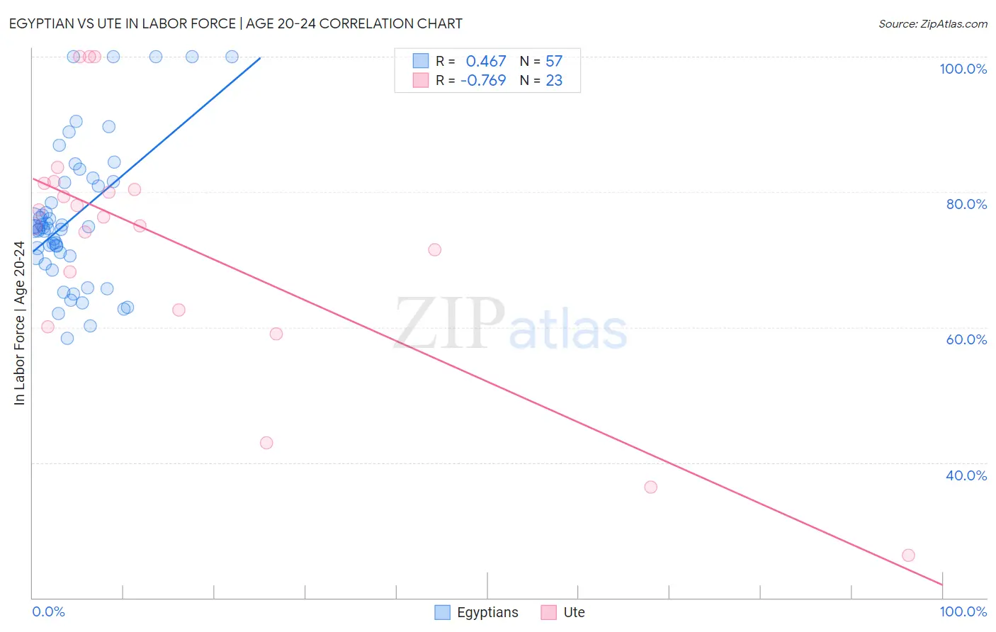 Egyptian vs Ute In Labor Force | Age 20-24