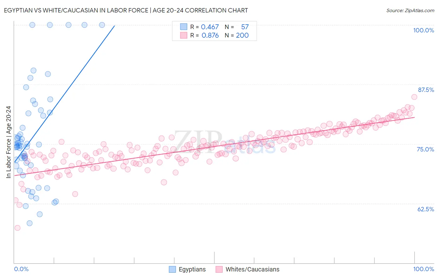 Egyptian vs White/Caucasian In Labor Force | Age 20-24