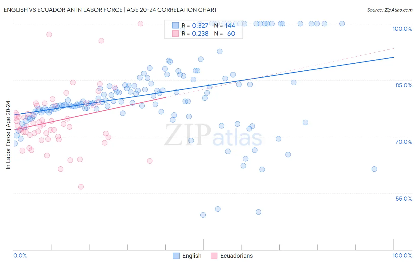 English vs Ecuadorian In Labor Force | Age 20-24