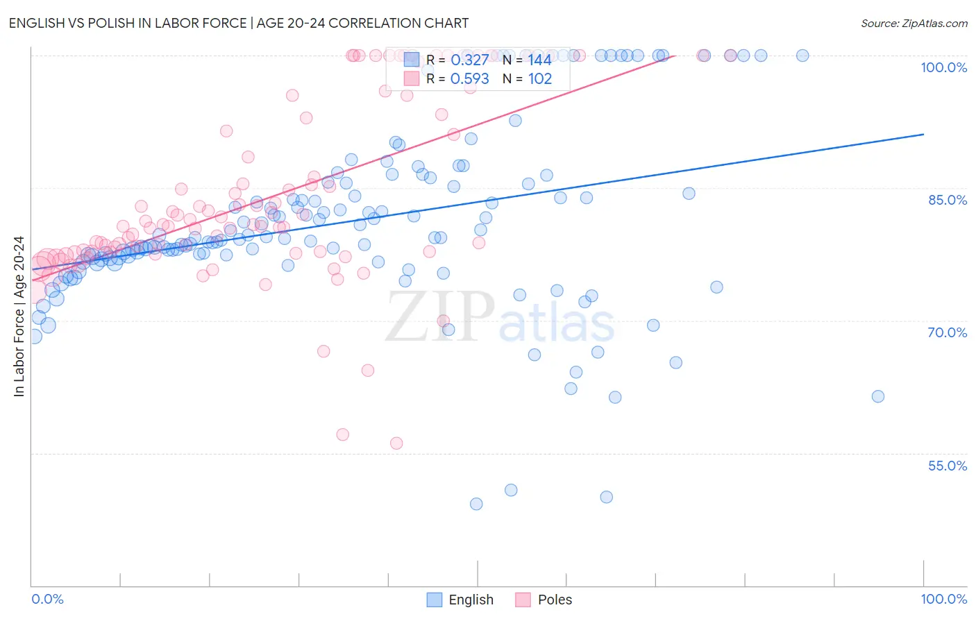 English vs Polish In Labor Force | Age 20-24