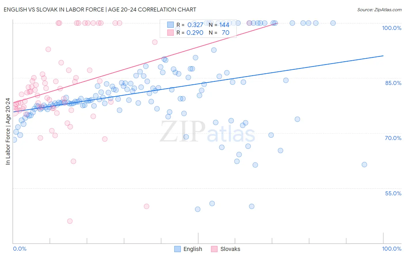 English vs Slovak In Labor Force | Age 20-24