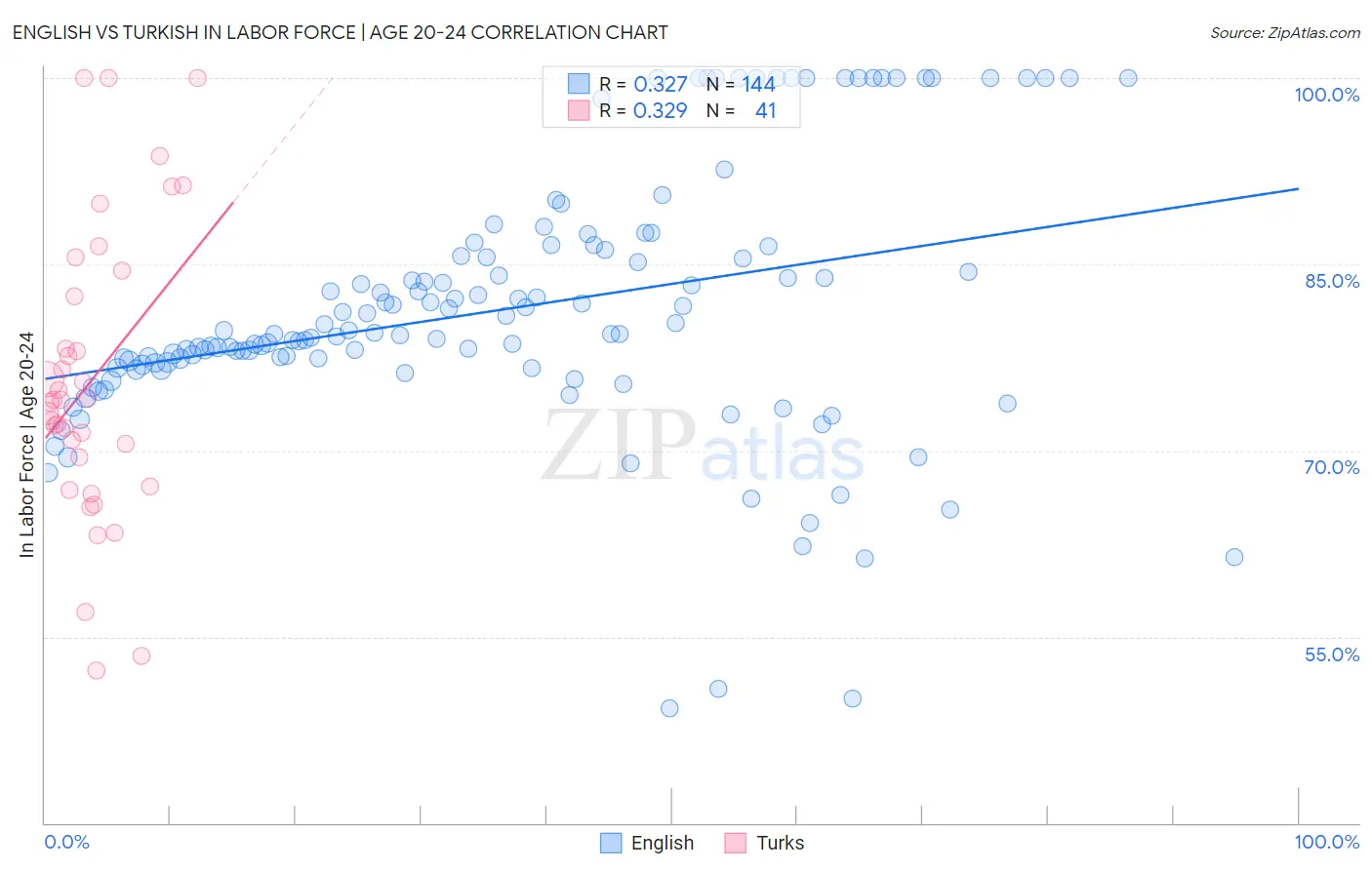 English vs Turkish In Labor Force | Age 20-24