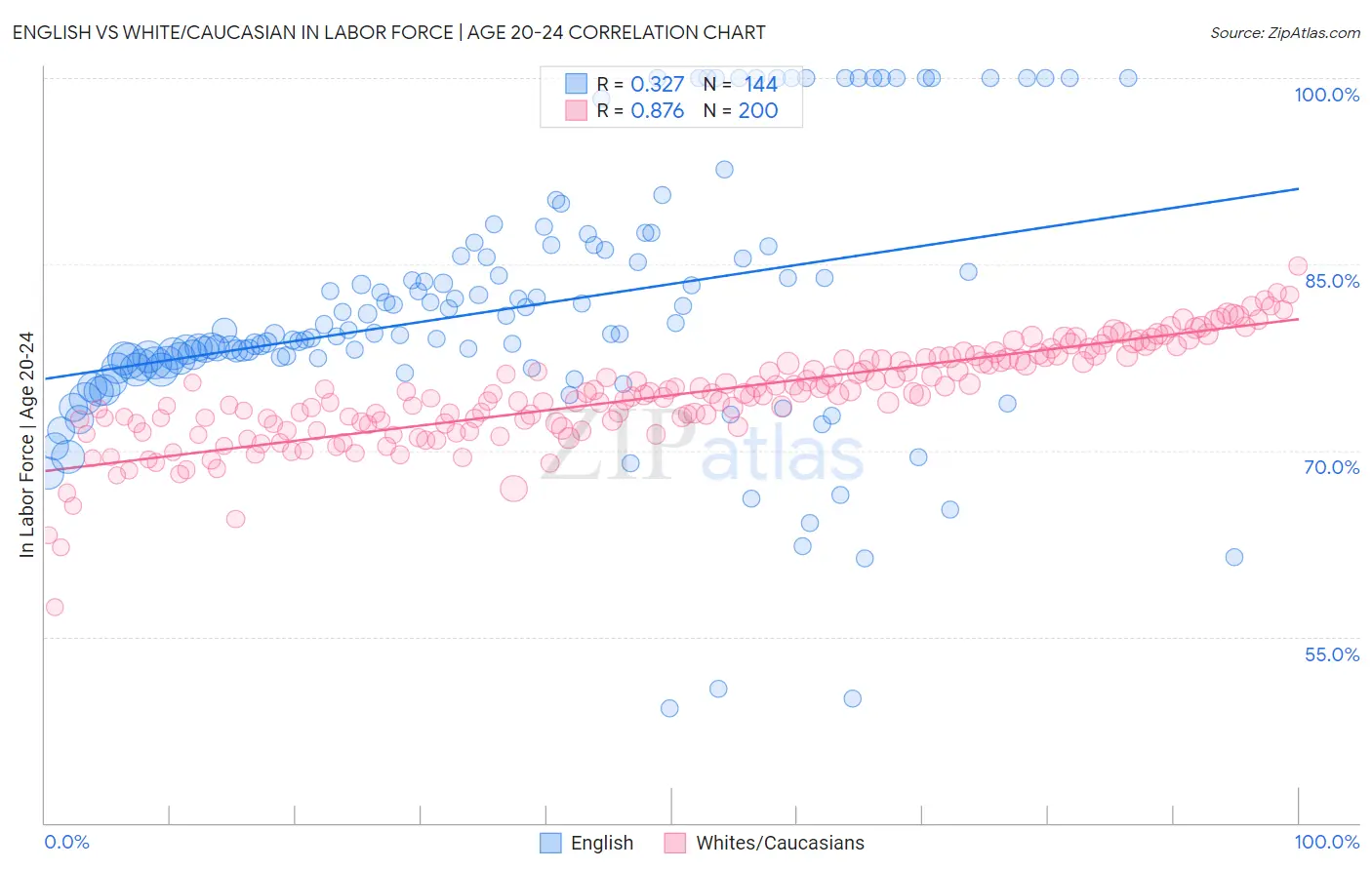 English vs White/Caucasian In Labor Force | Age 20-24