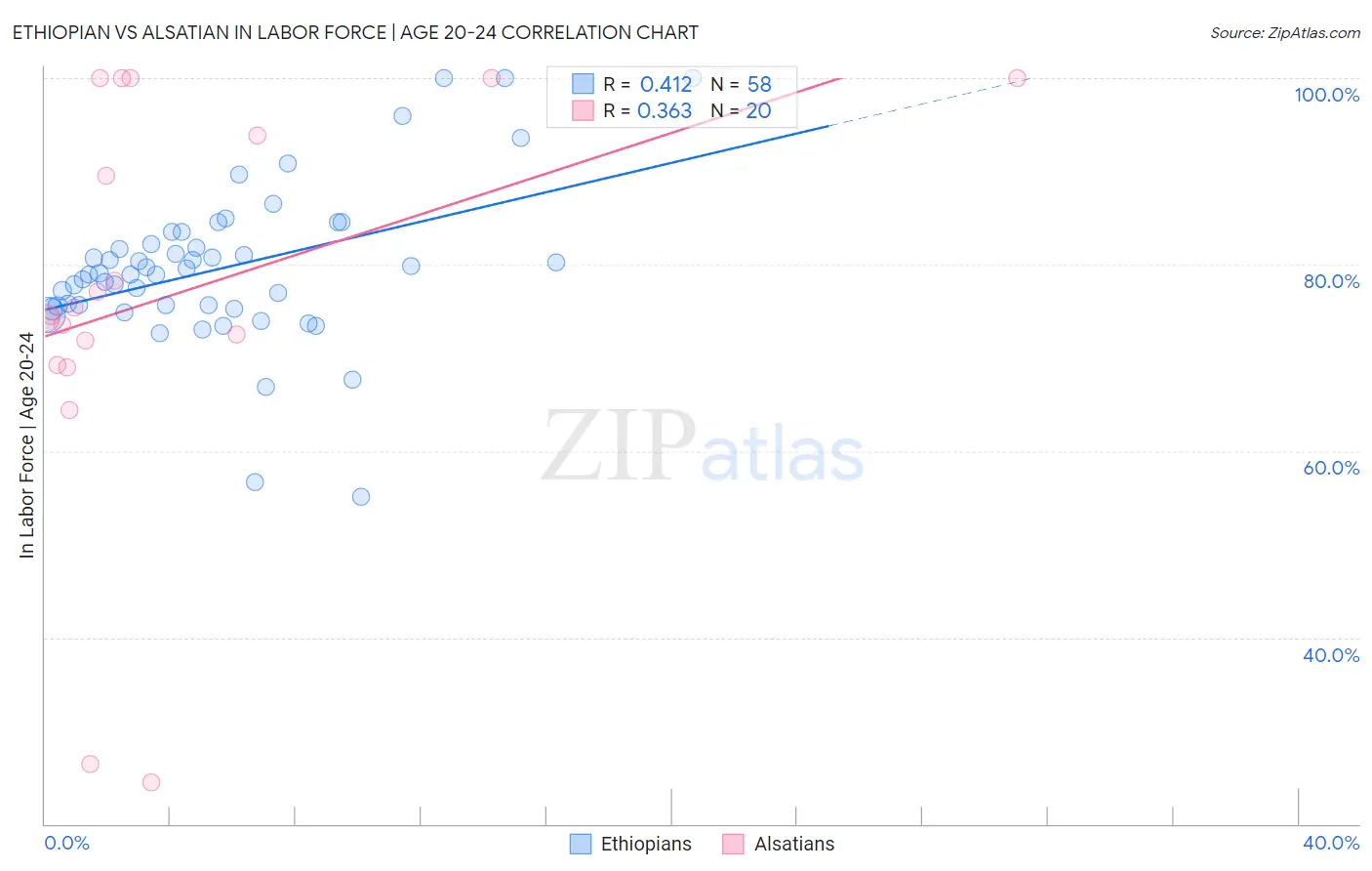 Ethiopian vs Alsatian In Labor Force | Age 20-24